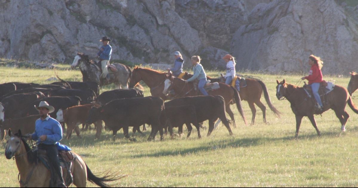 Klondike Ranch, Wyoming, USA - Working Ranch vacation | RanchWeb.com