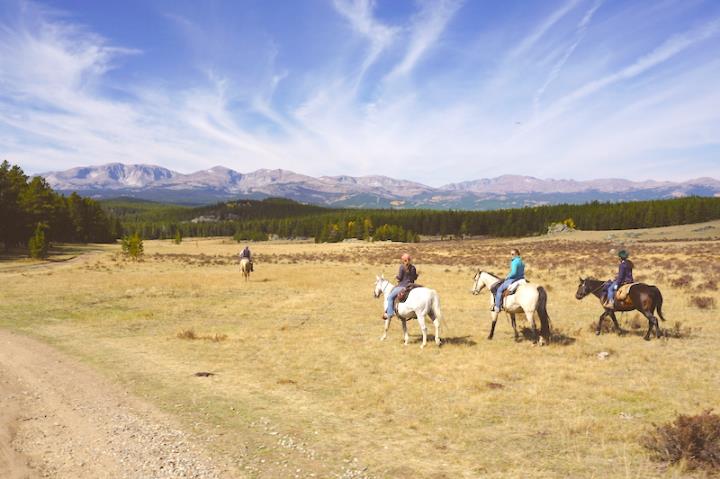 Four people horse riding under a blue sky
