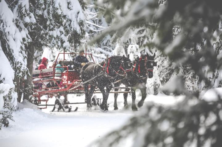 Sleigh ride at Western Pleasure Guest Ranch