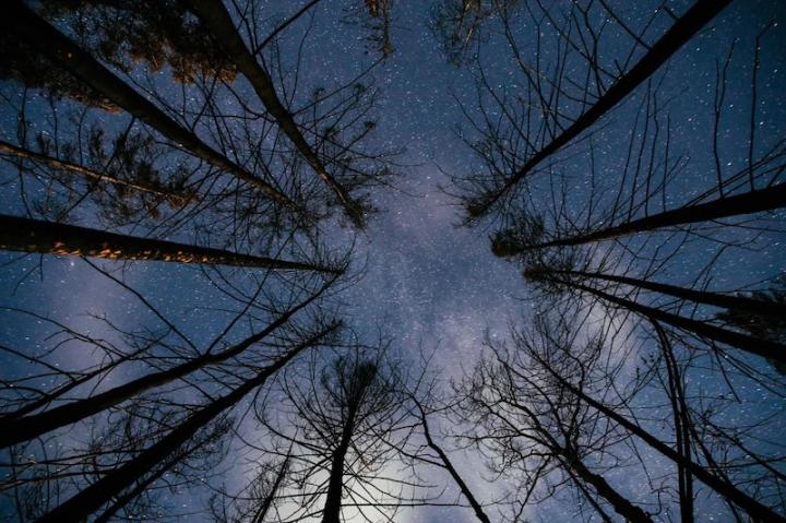 Stargazing on a ranch vacation