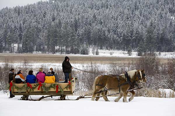Bar W sleigh ride