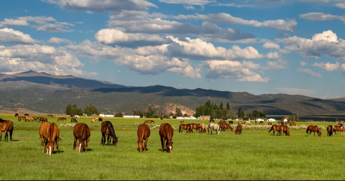 Hunewill Ranch, California, USA - Guest Ranch vacation | RanchWeb.com